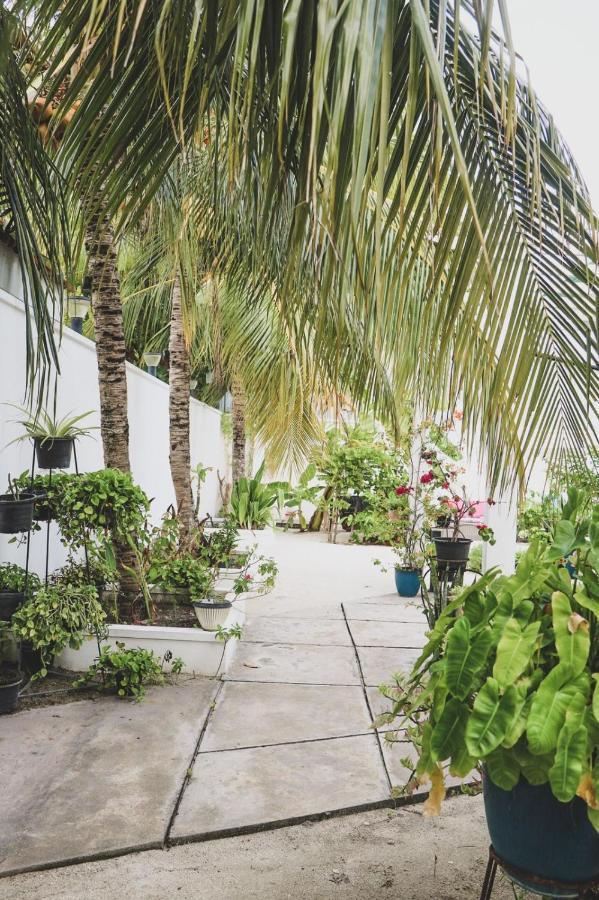 Fiyala Homestay Addu City Exteriör bild