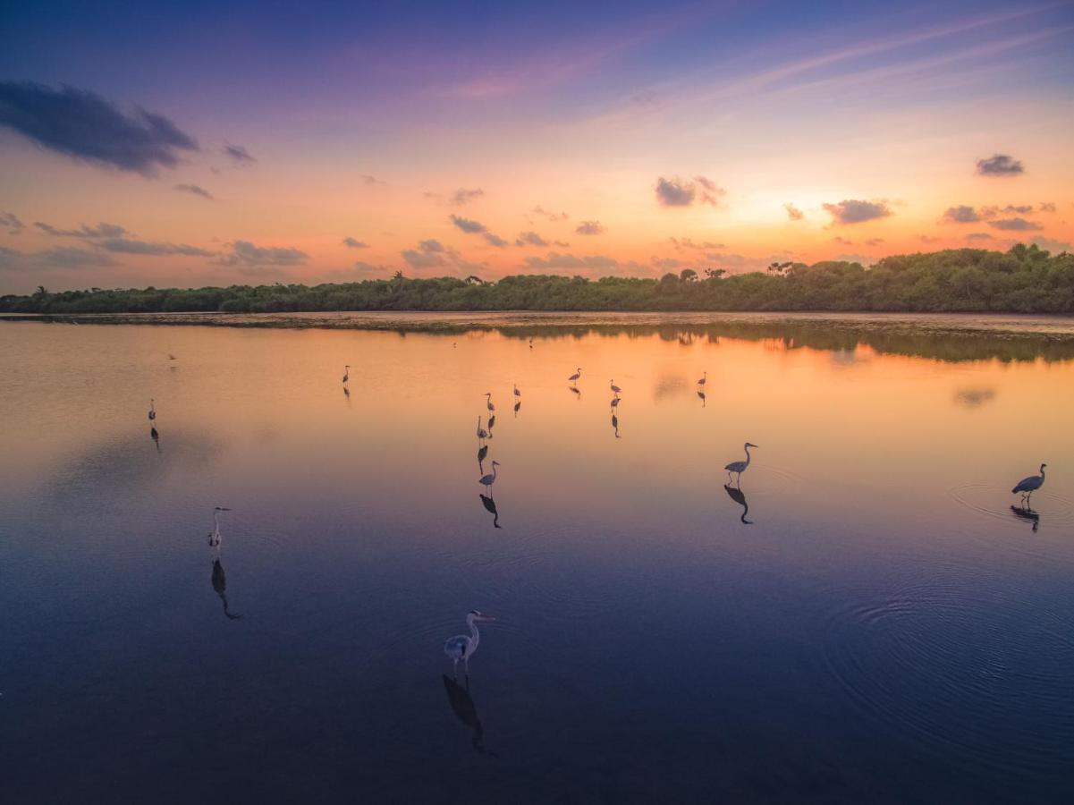 Fiyala Homestay Addu City Exteriör bild