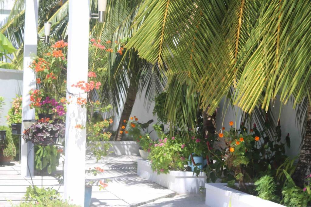 Fiyala Homestay Addu City Exteriör bild